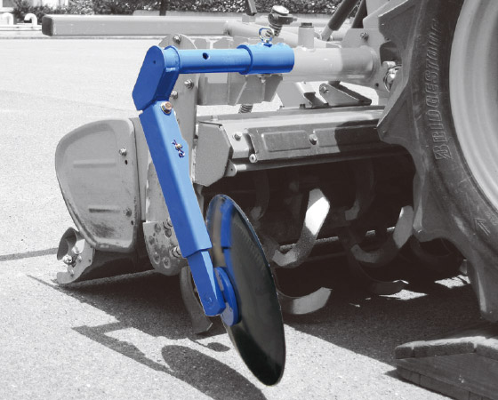 マエショリディスク